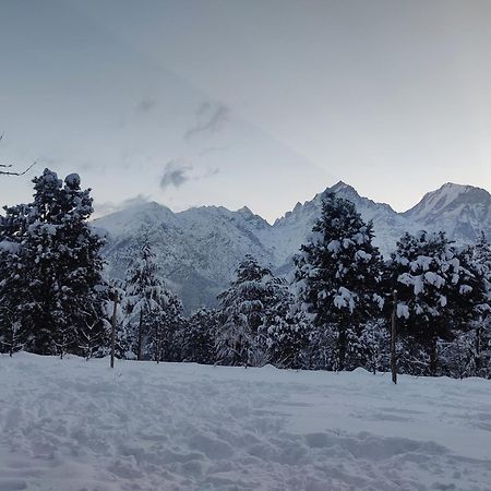 Silk Route Home Stay Kalpa Εξωτερικό φωτογραφία