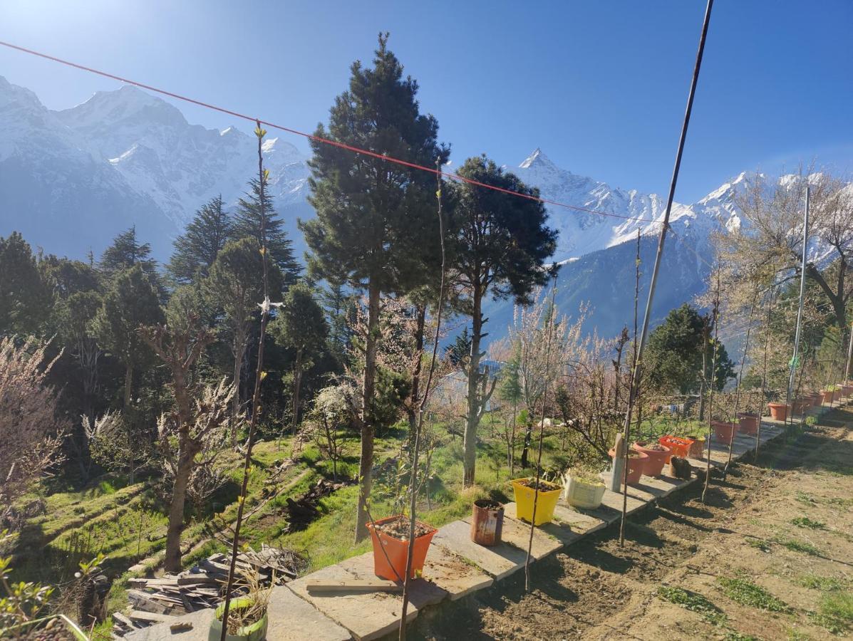 Silk Route Home Stay Kalpa Εξωτερικό φωτογραφία