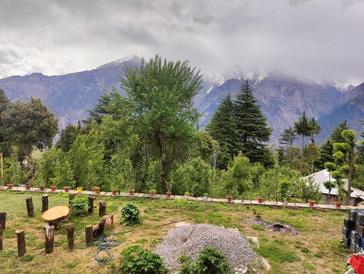 Silk Route Home Stay Kalpa Εξωτερικό φωτογραφία