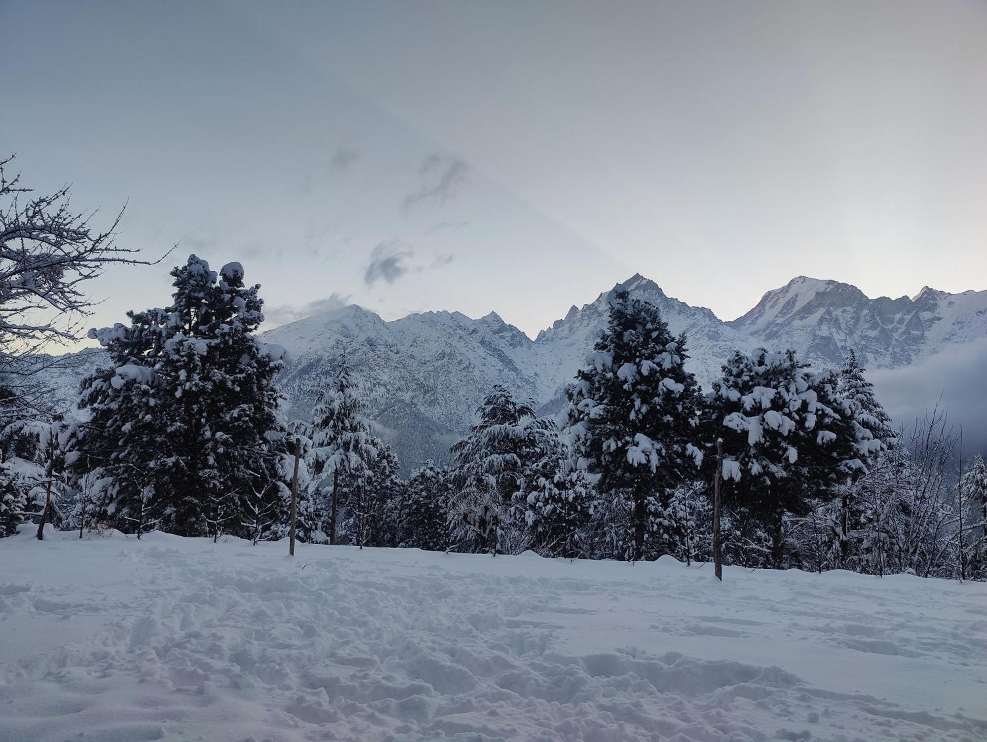 Silk Route Home Stay Kalpa Εξωτερικό φωτογραφία